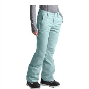 The NorthFace Women’s Freedom insulated Snow Pants